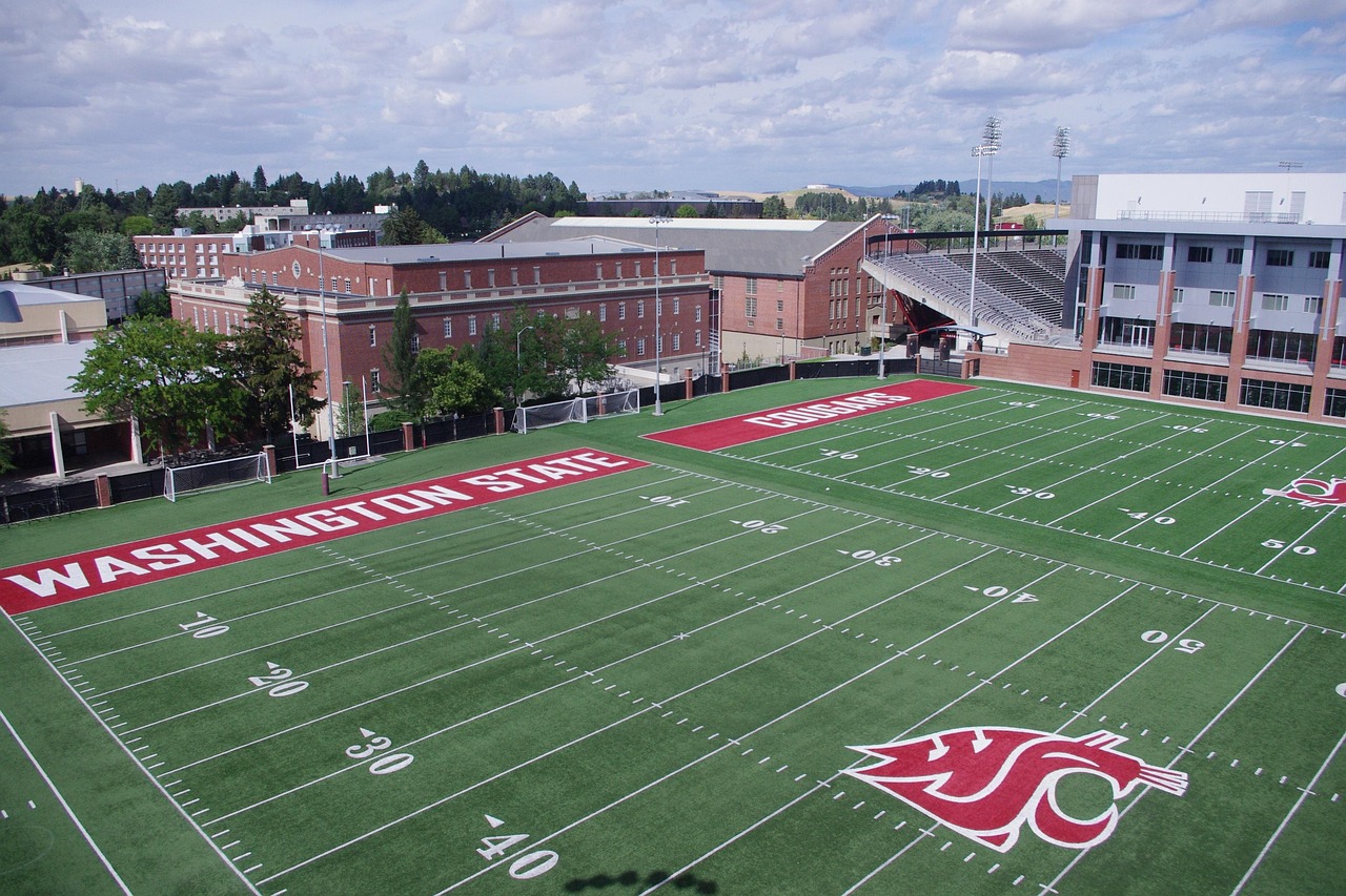 知乎实名账号:惠花花app详情下载教程