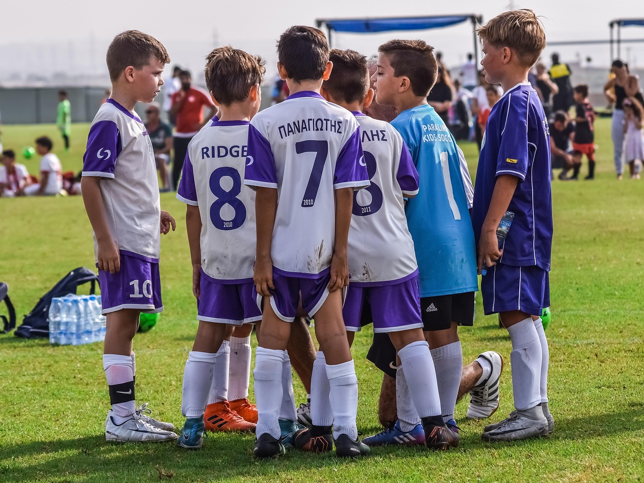 方盒绿大熊猫：自动巴巴app详情下载教程