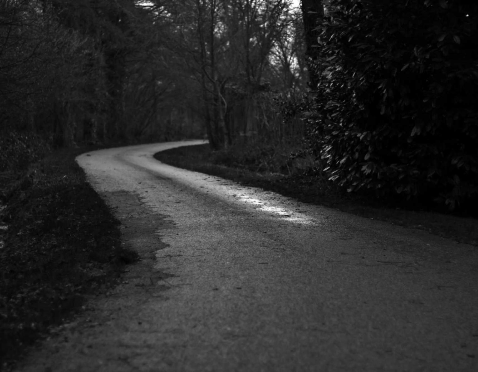 Telegram云控系统实名账号：流量卡与4G、5G有什么关系？