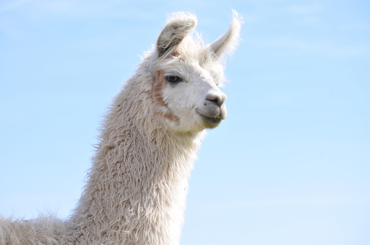 亿速云实名账号：龙岗注册公司代理