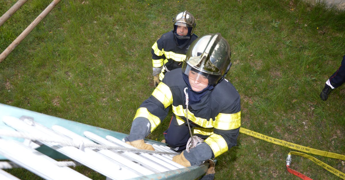 龙珠觉醒辅助- 鹿城公司注册财务代理