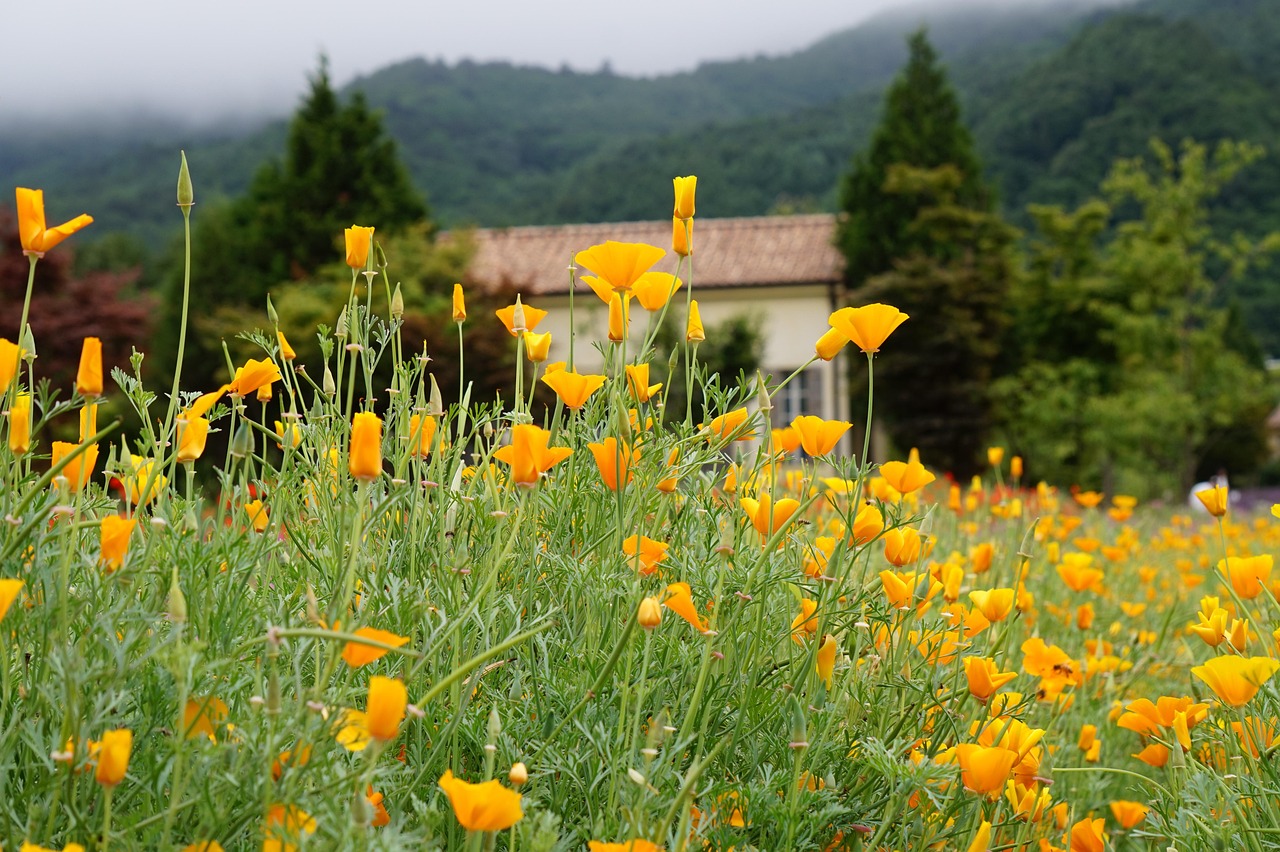 DDOS压力测试|安全漏洞：黑客如何利用漏洞攻击您的网络