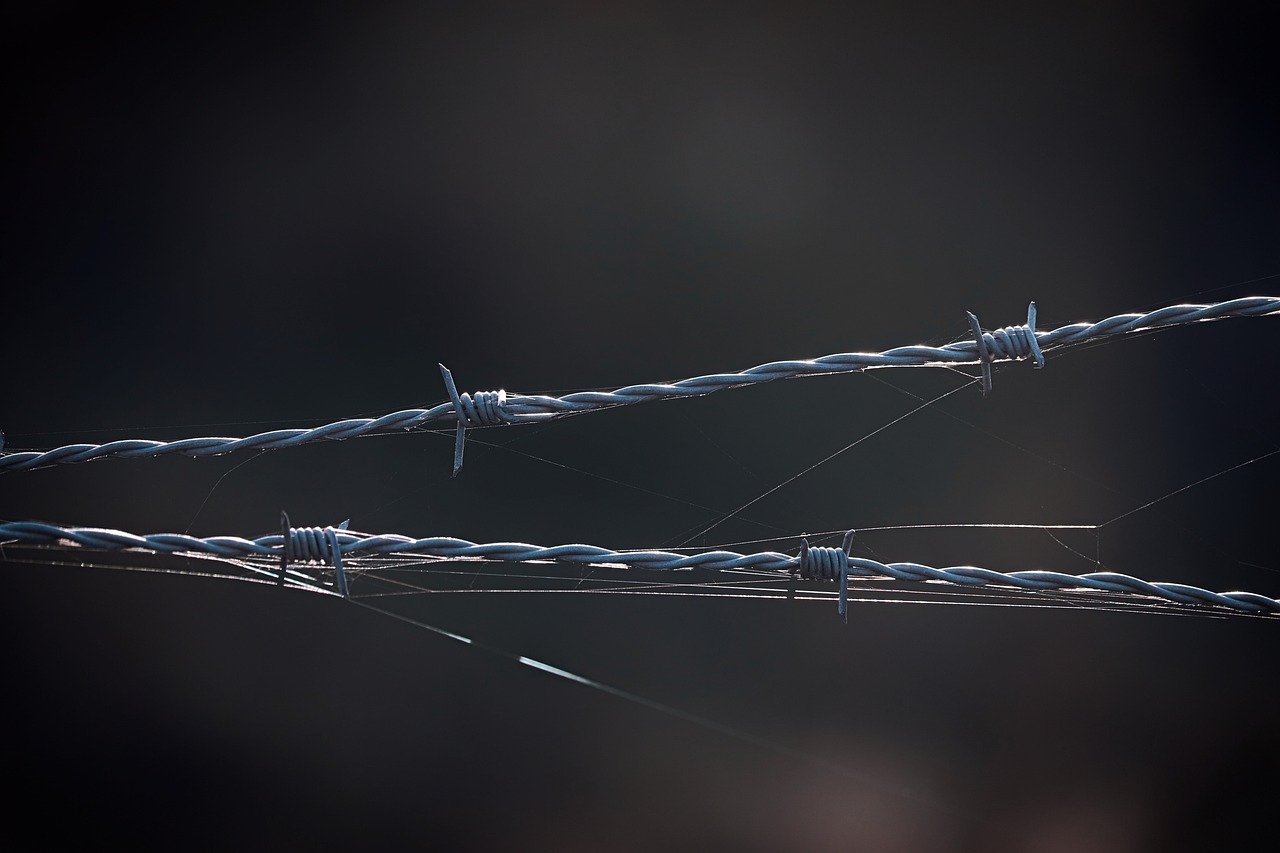 民生通讯实名账号：哪个平台开户合法