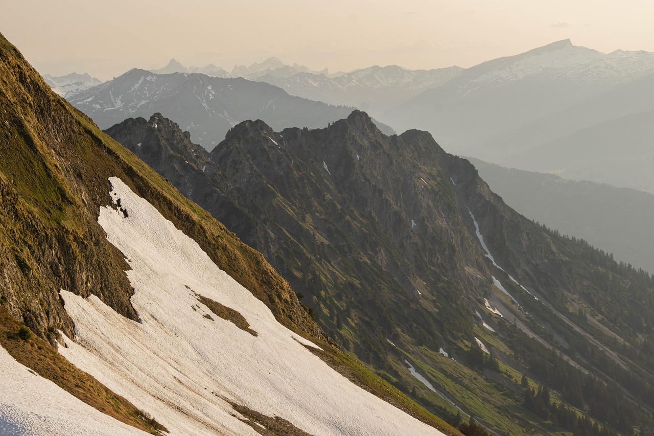 阿凡提绿豆：飞禽走兽游戏平台代理商