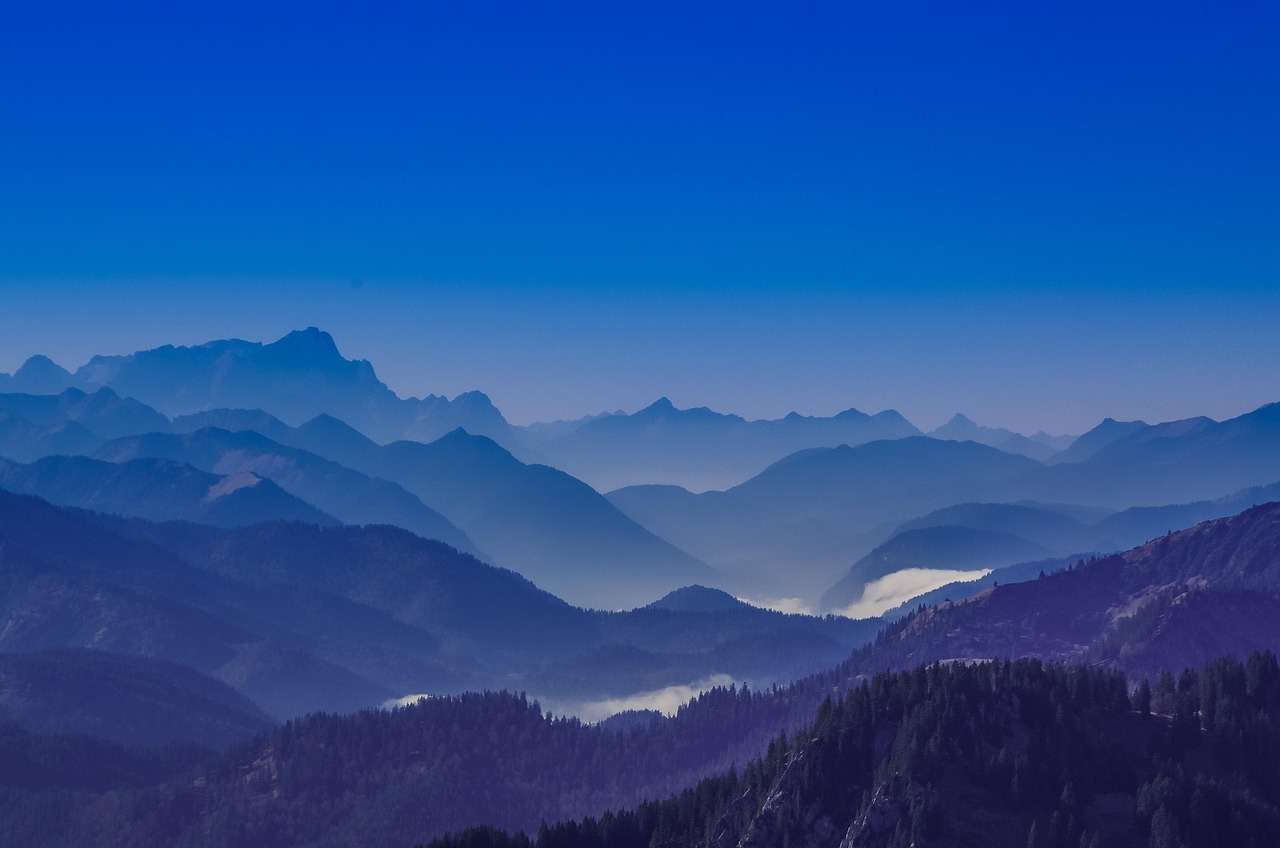 阿里云国际站实名账号：米仓app详情下载教程更新