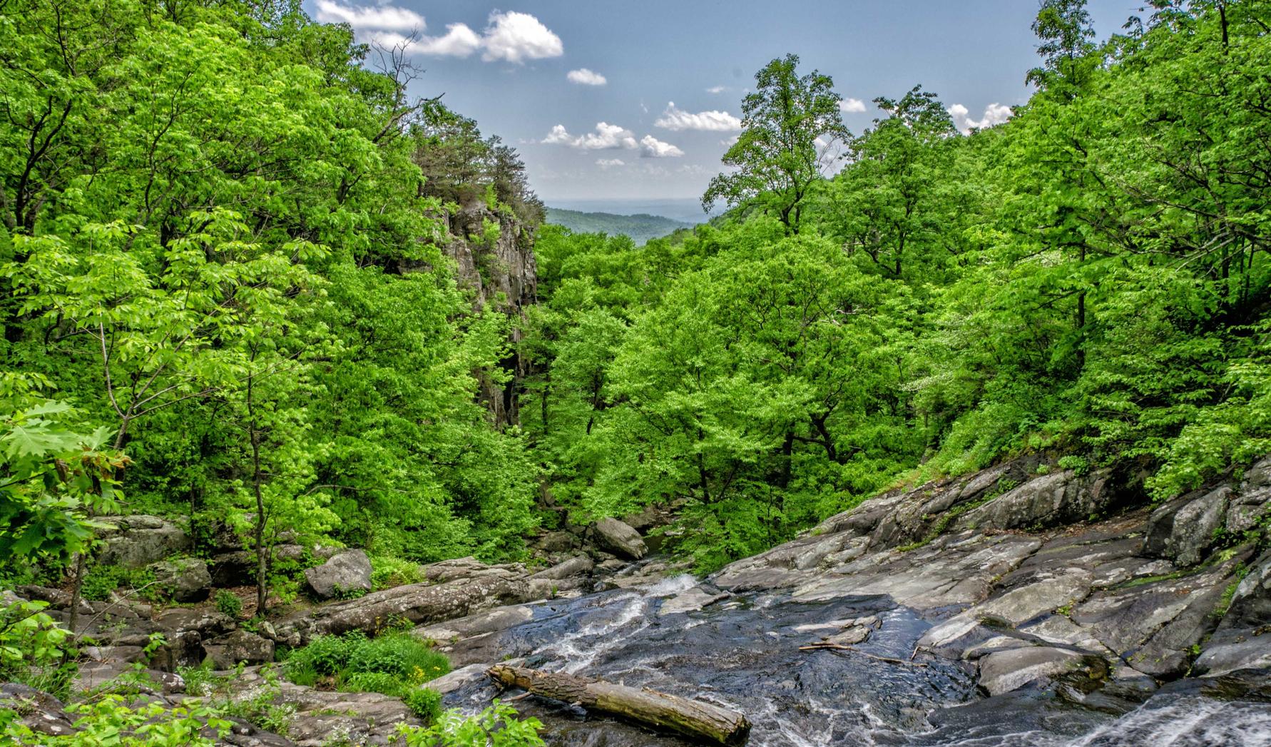 吸烟是否会影响人体的重金属排放?