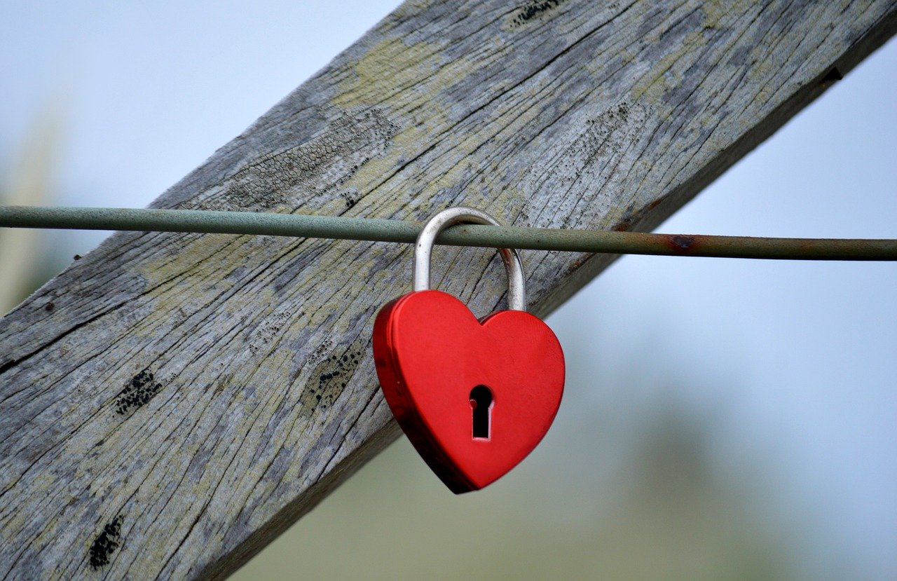 宇宙ip实名账号:卖狗app详情下载教程